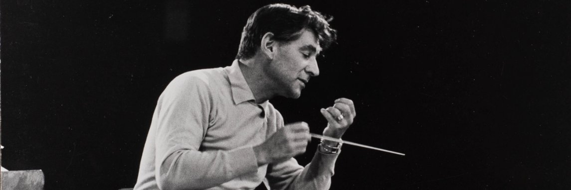 Leonard Bernstein banner