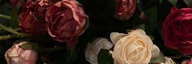 vminbin's profile banner image