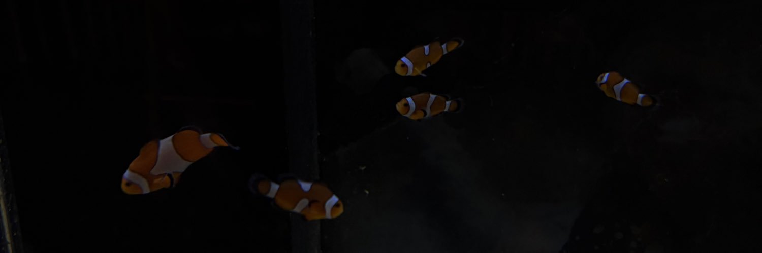 Pgpdgjam26's profile banner image