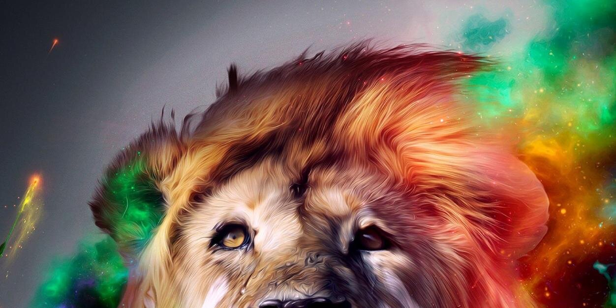 nimbo78's profile banner image