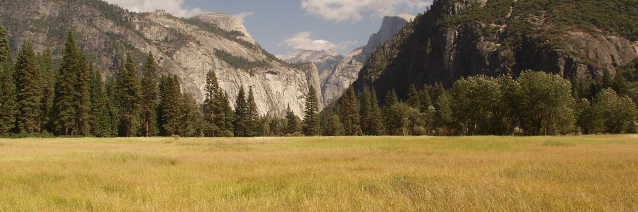 CodySummers2014's profile banner image