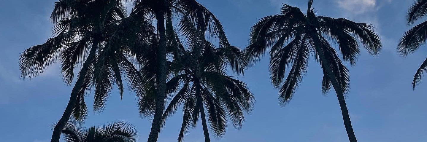 anais_fct's profile banner image