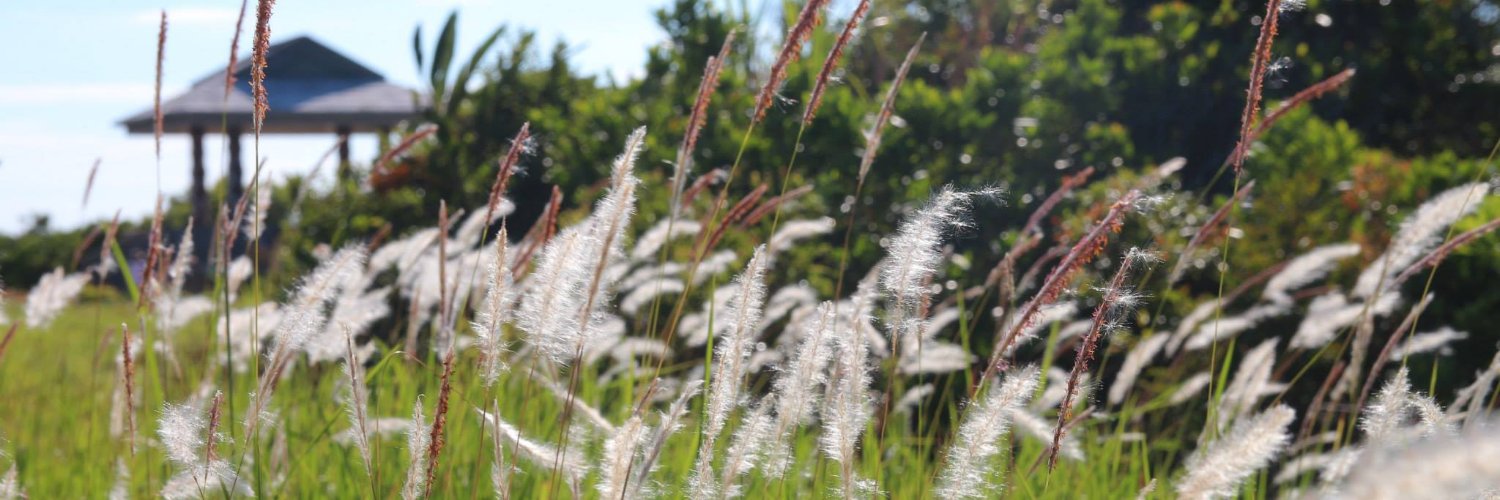 CKen(💙,🧡) banner