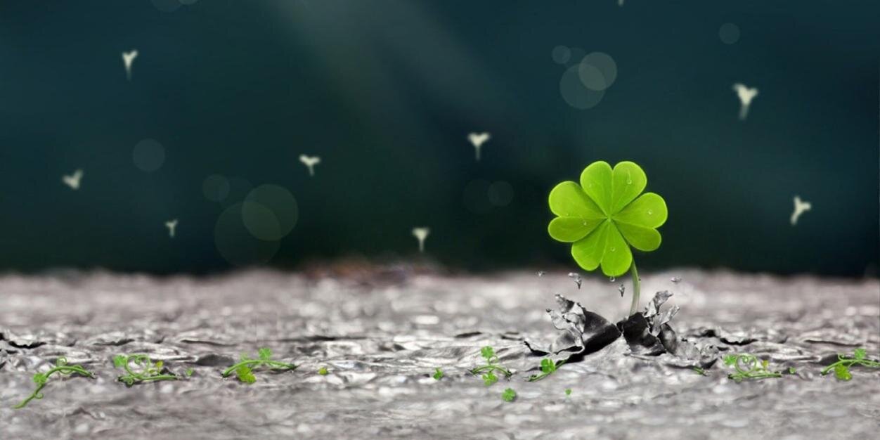 ky_ni92's profile banner image