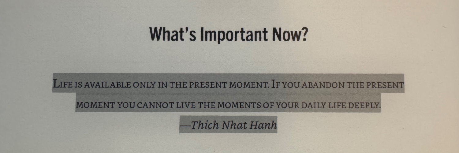 Manolo Álvarez banner