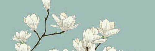 SuVindMor17's profile banner image