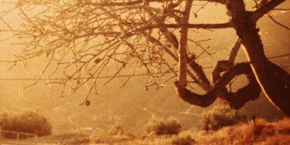 Marley_LH's profile banner image