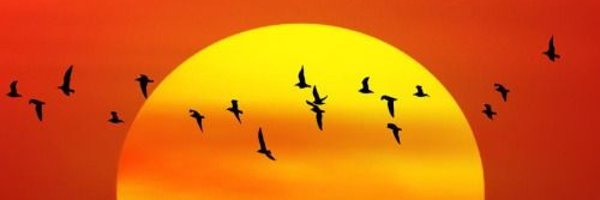 agating9797 Profile Banner