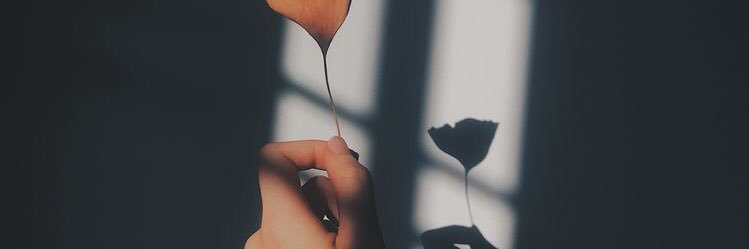 Prnsmrt's profile banner image