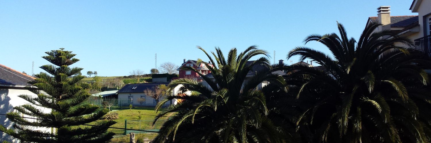 vicente llaneza banner