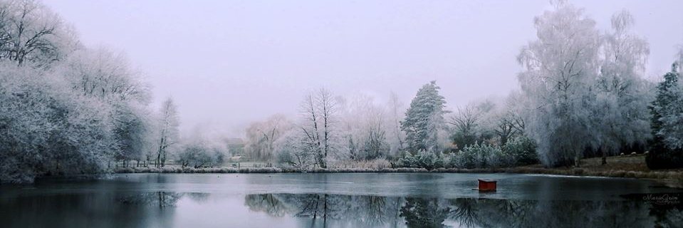 Camomillious's profile banner image