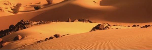PC_GOO's profile banner image