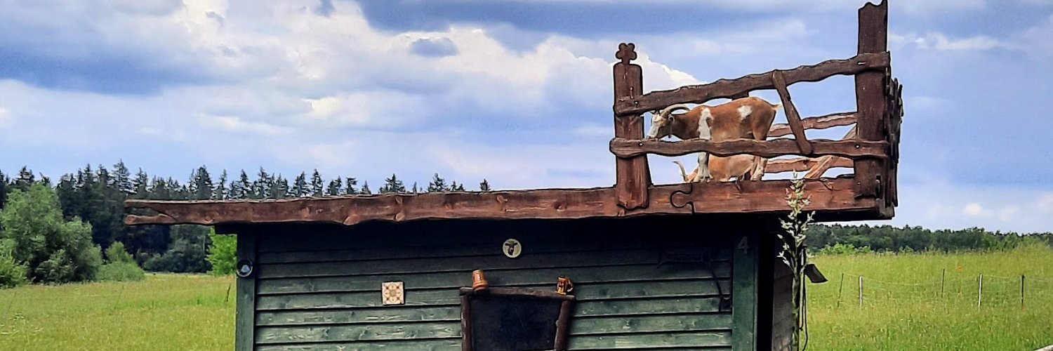 gorarico's profile banner image