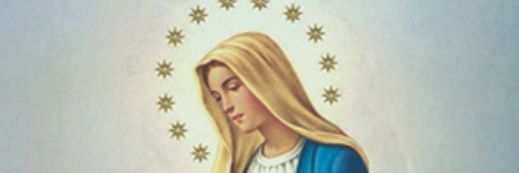 Marisol R. banner