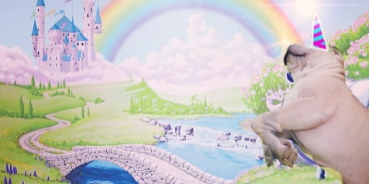 thelovelyopal's profile banner image