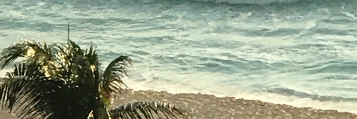 sterliveitup's profile banner image