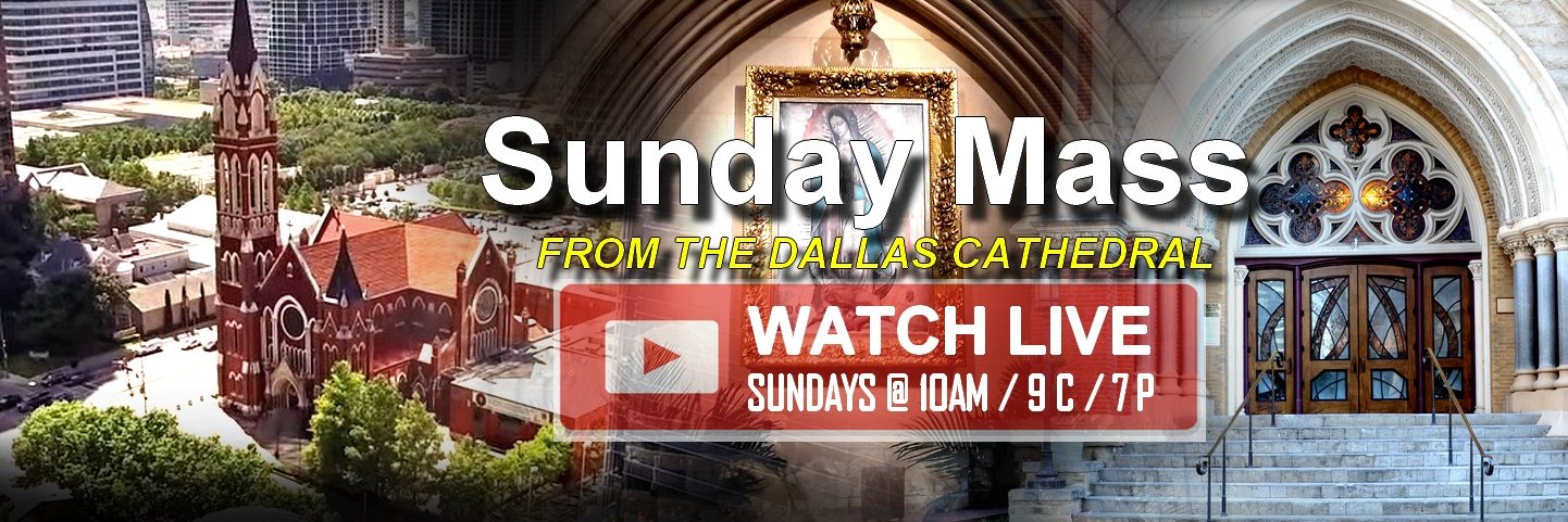 Cathedral Guadalupe banner