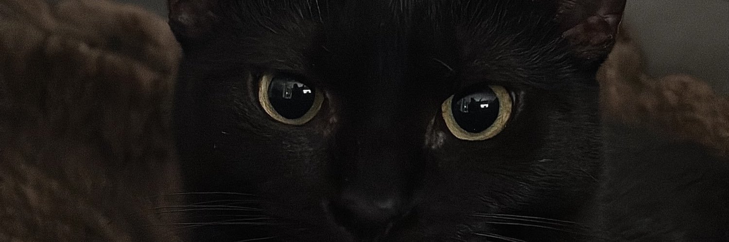 Killystia's profile banner image