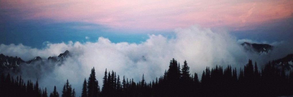 _mr_unicorn's profile banner image
