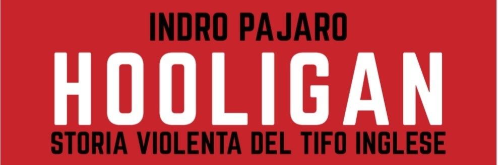 IndroPajaro's profile banner image