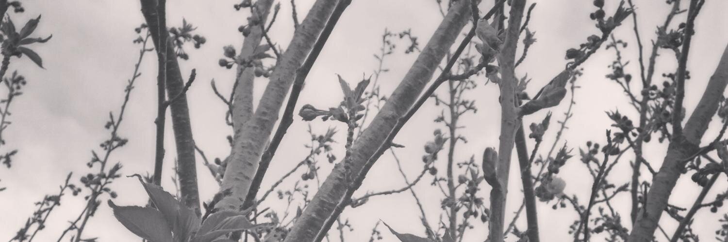 CSCJTA's profile banner image