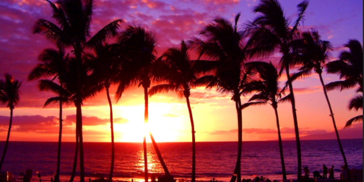 marta_cesta's profile banner image