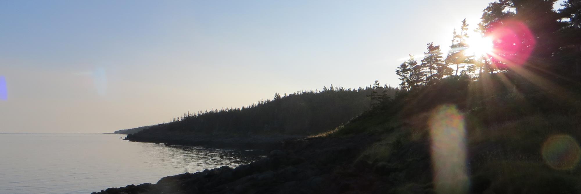 Dr. Kate Mattocks banner