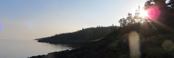 mattockska Profile Banner