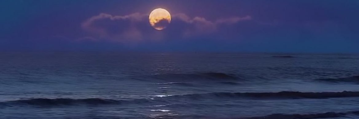 BreRaquel__'s profile banner image