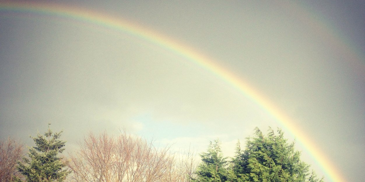 NicciPerks's profile banner image