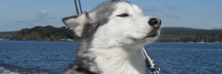 ‎ ‎ ‎ً banner