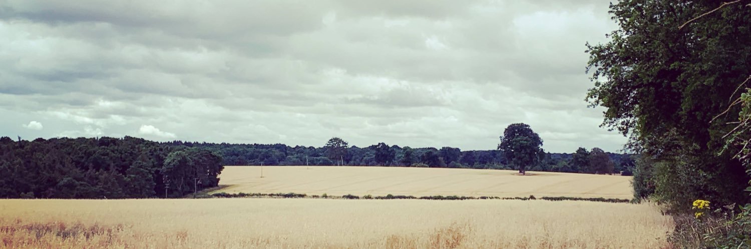 jbeddoe's profile banner image
