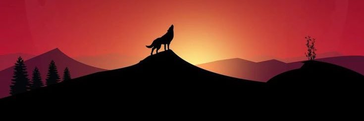 tomdevil1199's profile banner image