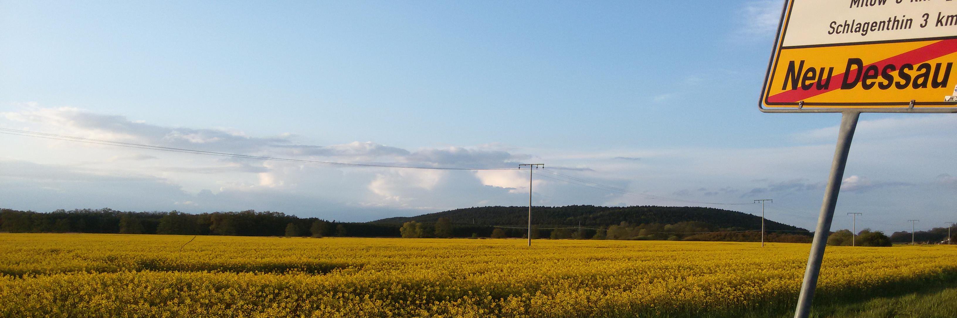 FeWo Neu Dessau banner