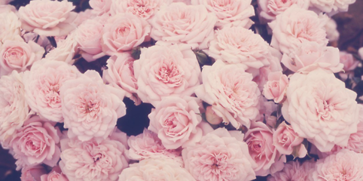 _emzbeez's profile banner image