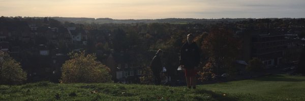 leiselily Profile Banner