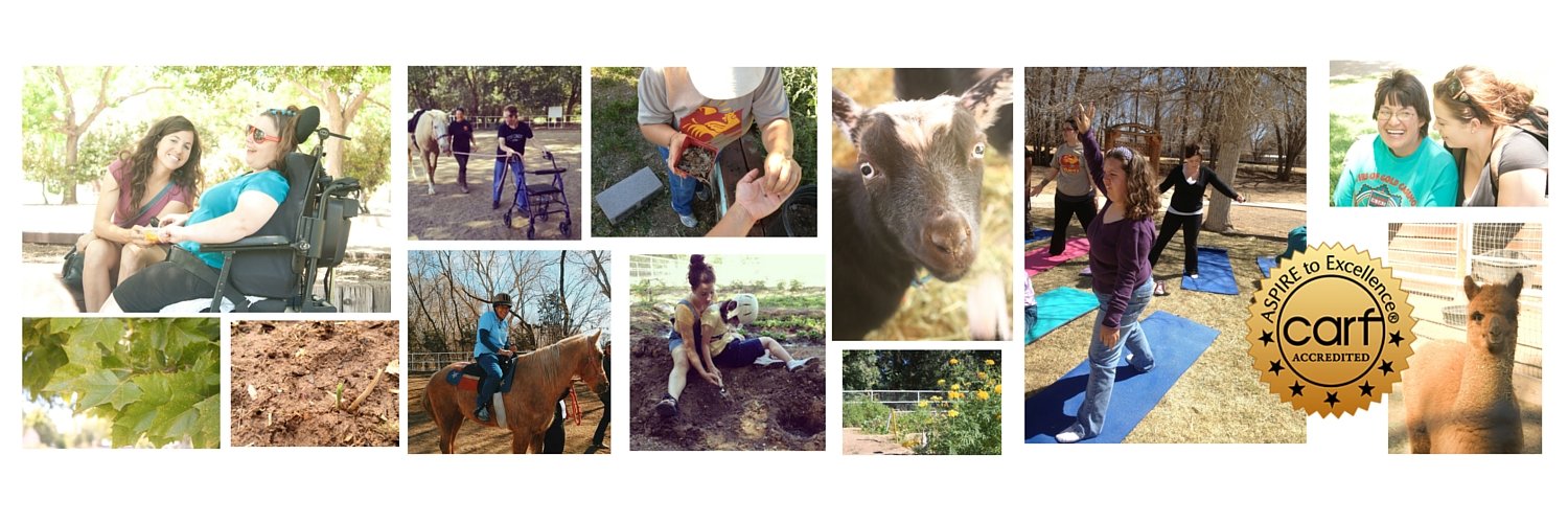 Mandy's Farm banner