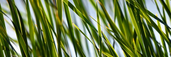 fmf_frl Profile Banner