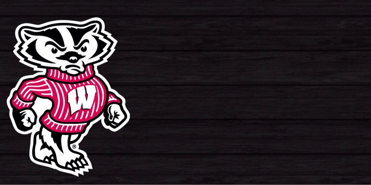 BadgerNavs's profile banner image
