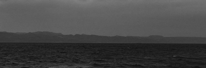 diveinyourocean's profile banner image