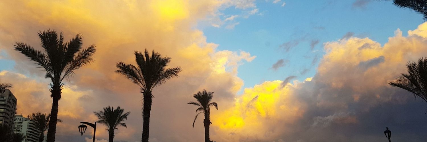 westernfeathers's profile banner image