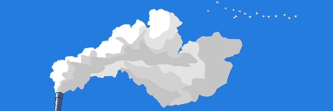 Marco banner