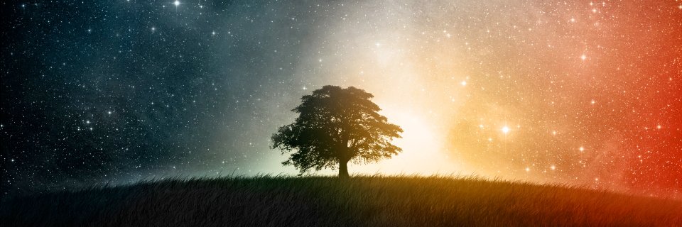 PascaIlI's profile banner image