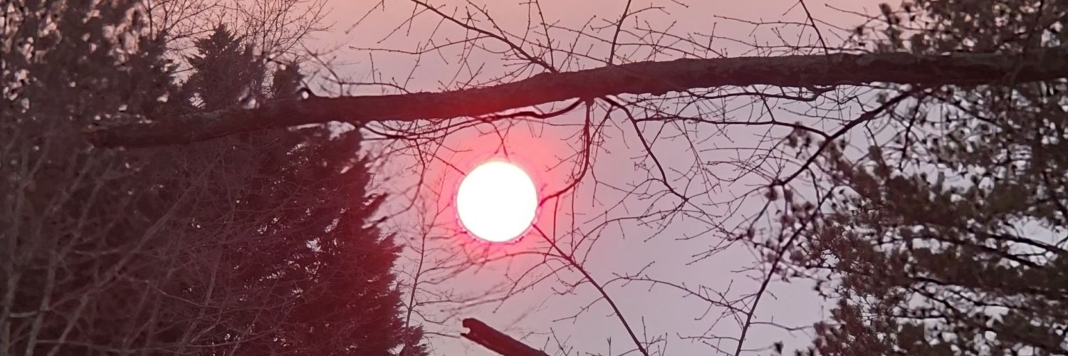 jeduthun3's profile banner image