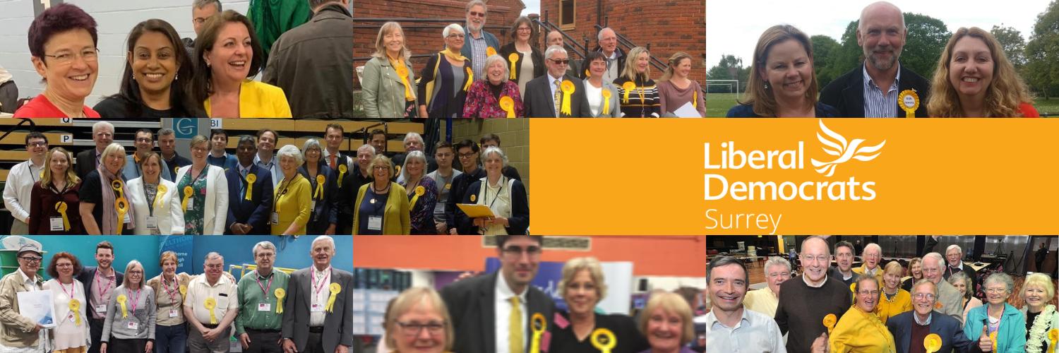 Surrey CC Lib Dems 🔶 banner