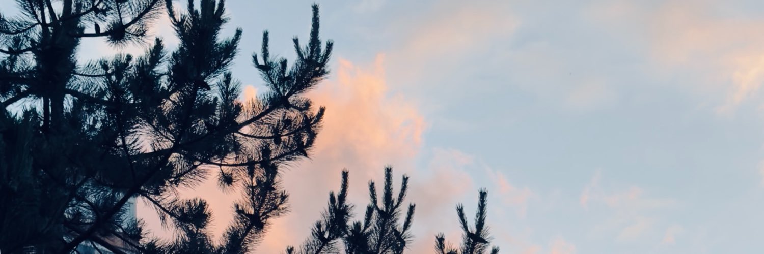 AvHazalTrn's profile banner image