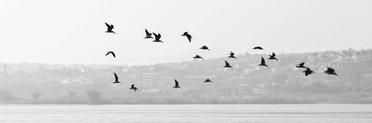 غيمة سما🌦️🇸🇦  banner