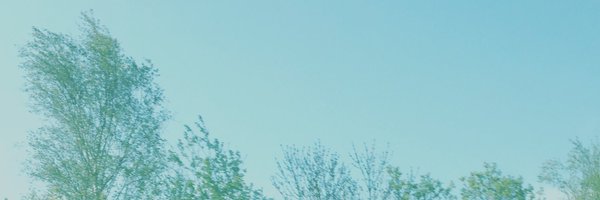 FoxFoodRecords Profile Banner