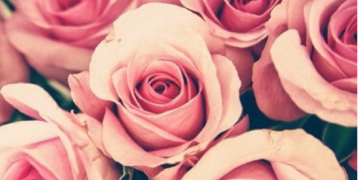 BeatriceGerdin's profile banner image