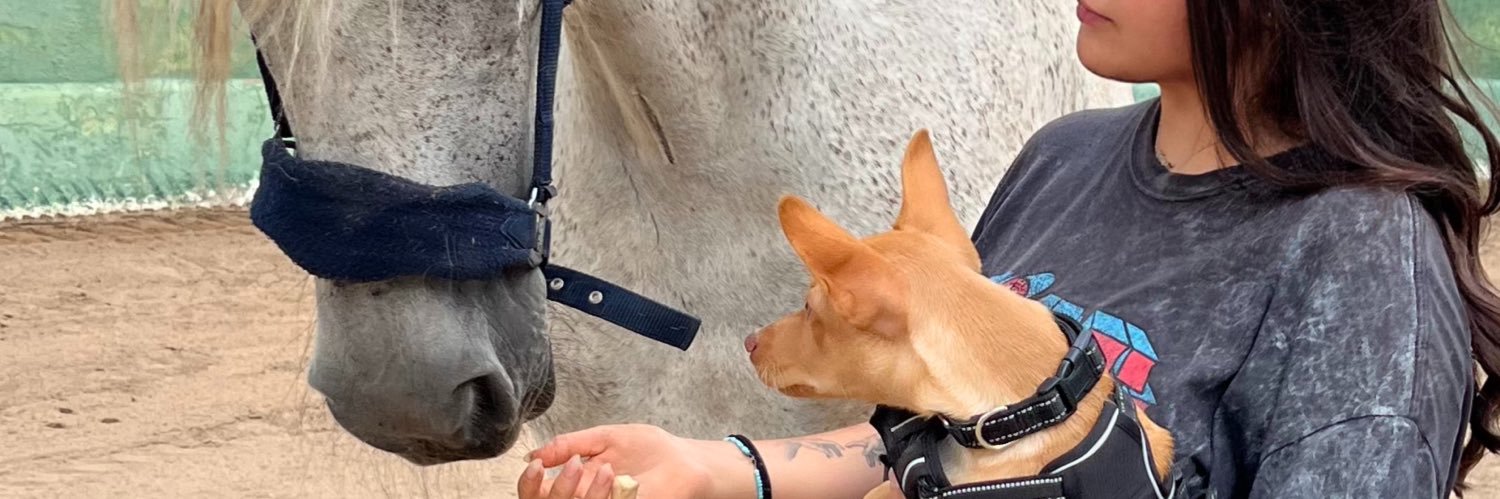 jxls__'s profile banner image